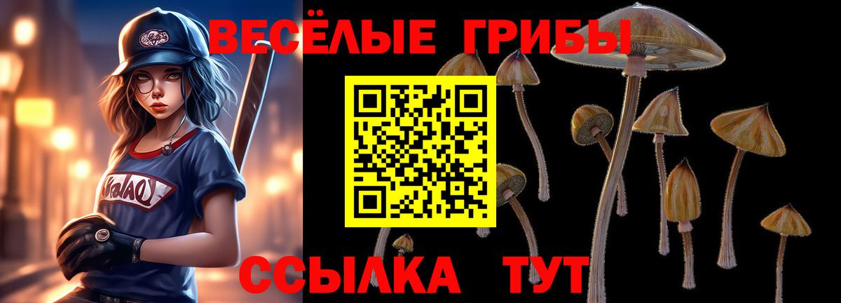 Псилоцибиновые грибы Psilocybine cubensis Ефремов