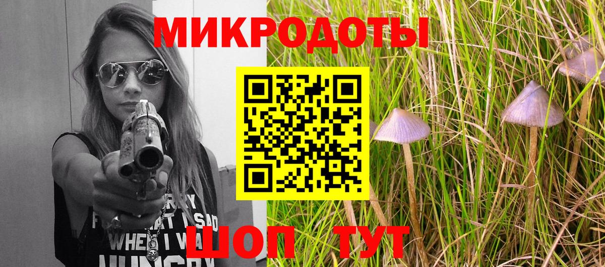 Галлюциногенные грибы мухоморы  Вход с VPN  купить  цена  Ефремов 